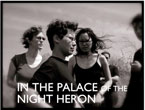 In the Place of the Night Heron
